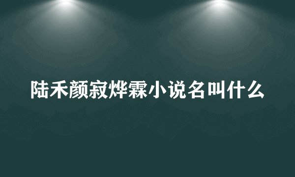 陆禾颜寂烨霖小说名叫什么