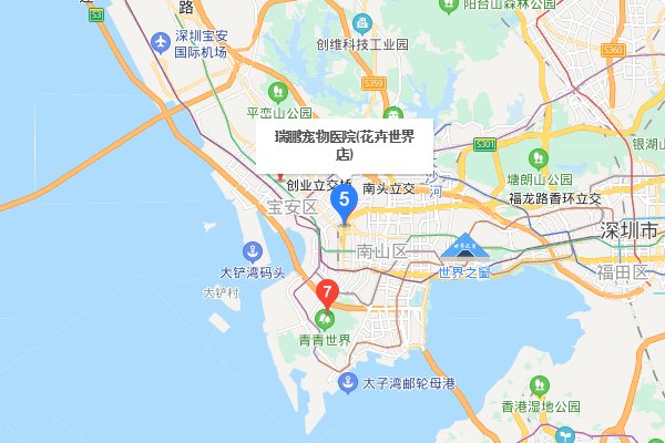 深圳那里有狗市?