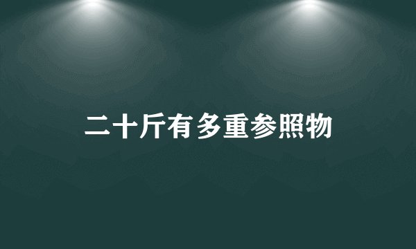 二十斤有多重参照物