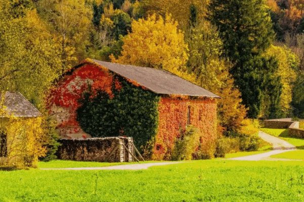 找回49图库怎样恢复