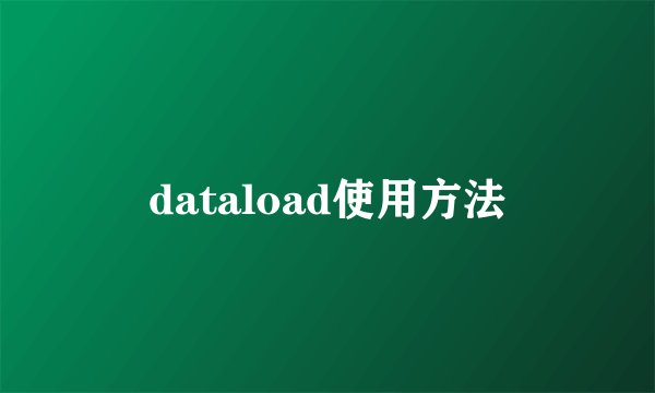 dataload使用方法