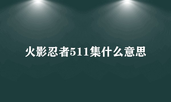 火影忍者511集什么意思
