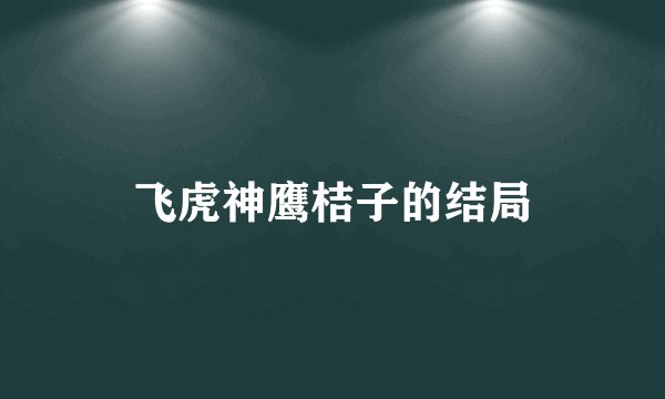 飞虎神鹰桔子的结局