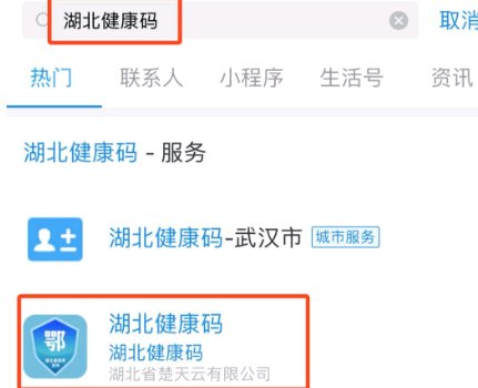 湖北健康码申请入口