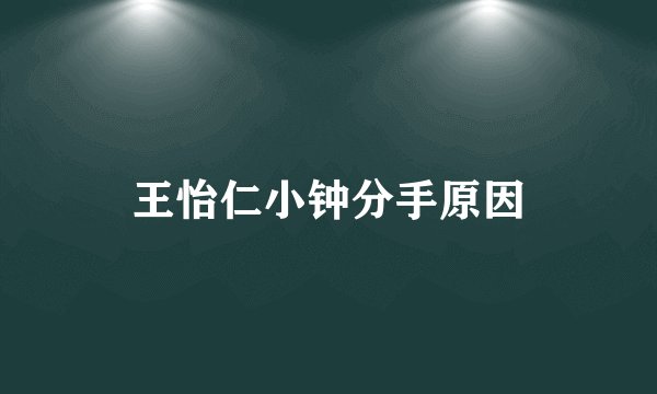 王怡仁小钟分手原因