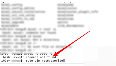 command not found怎么办