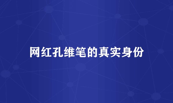 网红孔维笔的真实身份