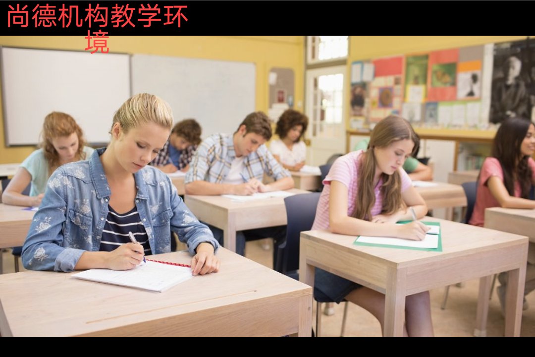 尚德机构怎么样