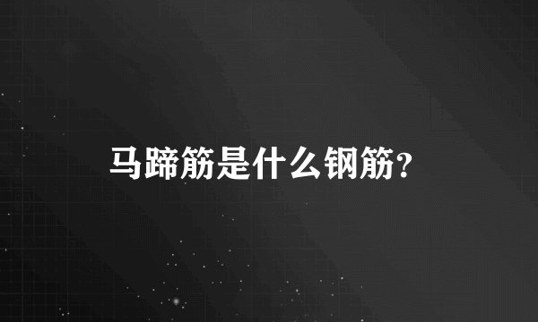 马蹄筋是什么钢筋？