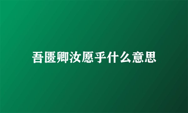 吾匮卿汝愿乎什么意思