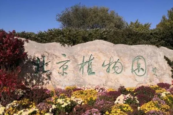 北京丰台区正月十五元宵节附近哪有灯会??