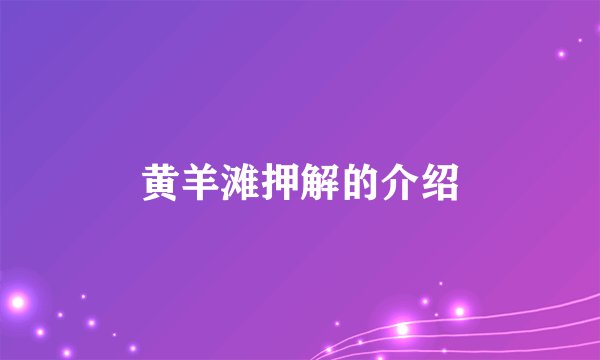 黄羊滩押解的介绍