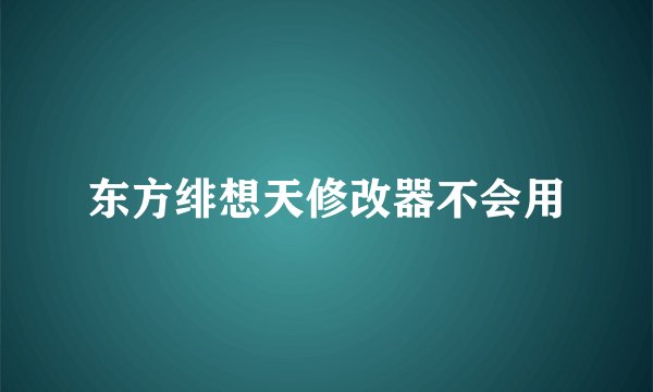 东方绯想天修改器不会用