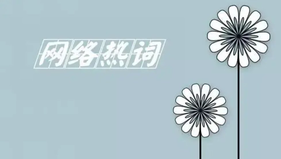 娱乐圈208梗的含义