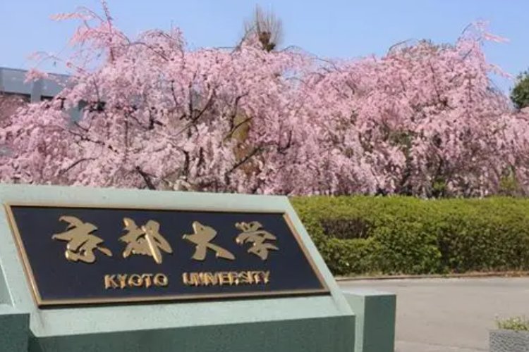日本上大学一般多少岁