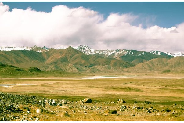 百卉含英什么肖