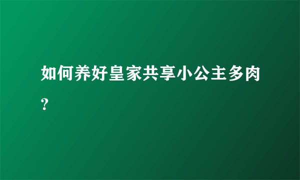 如何养好皇家共享小公主多肉？