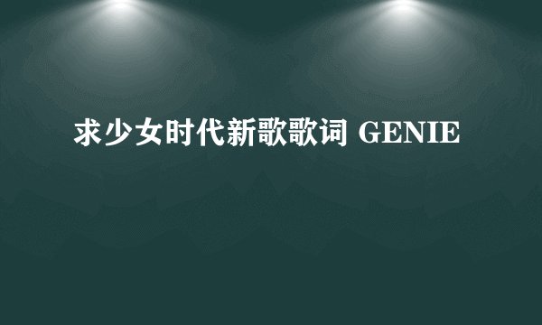 求少女时代新歌歌词 GENIE
