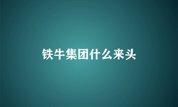 铁牛集团什么来头