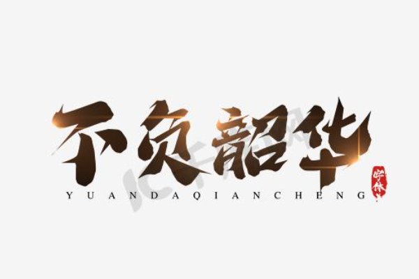 不负年华不负卿是什么意思是什么