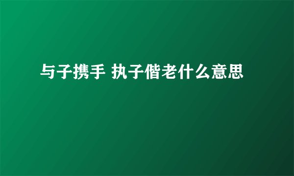与子携手 执子偕老什么意思