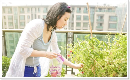 姚芊羽演过的电视剧有哪些