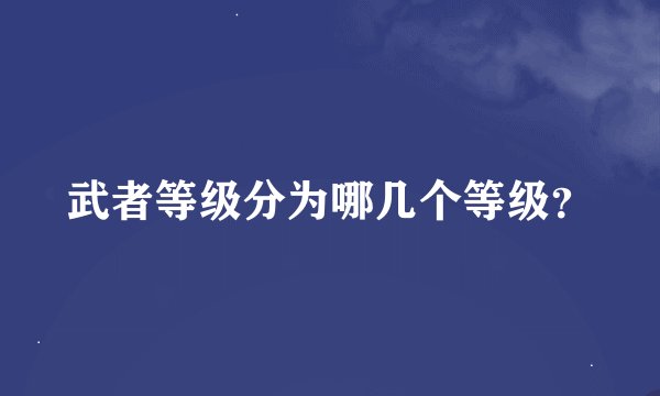 武者等级分为哪几个等级？