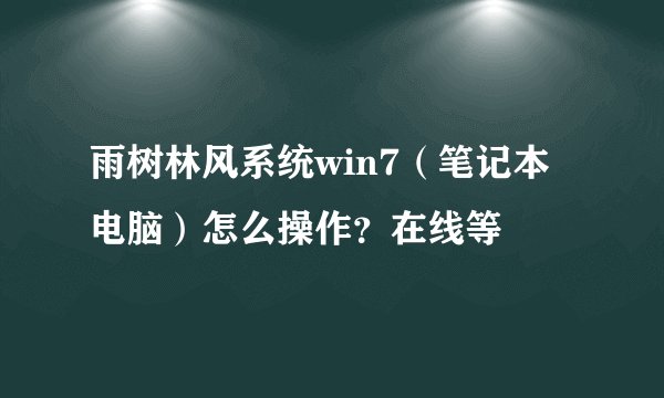 雨树林风系统win7（笔记本电脑）怎么操作？在线等