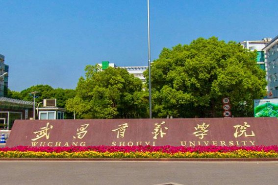 华中科大武昌分校是几本