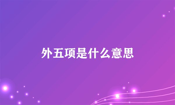 外五项是什么意思