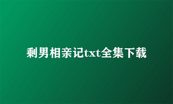 剩男相亲记txt全集下载
