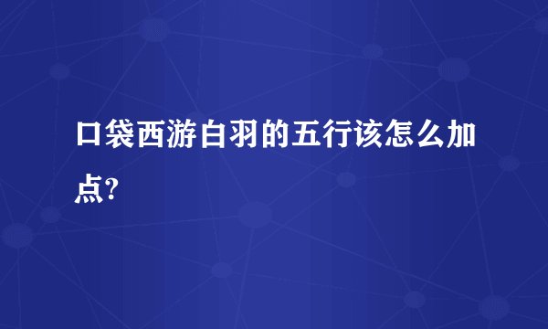 口袋西游白羽的五行该怎么加点?