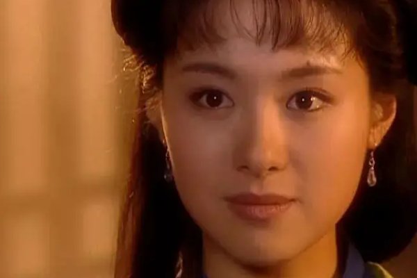 沈傲君主演的电视剧