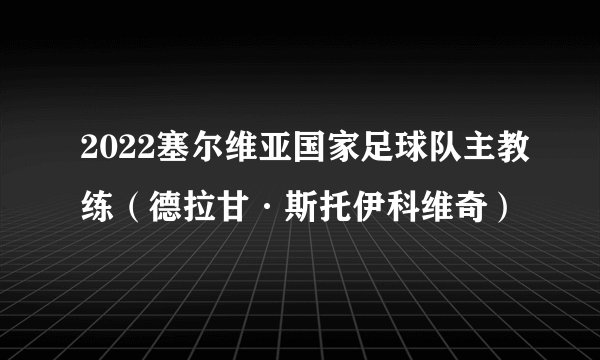 2022塞尔维亚国家足球队主教练（德拉甘·斯托伊科维奇）