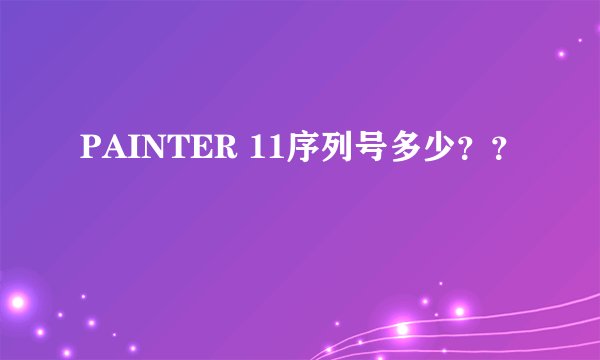 PAINTER 11序列号多少？？