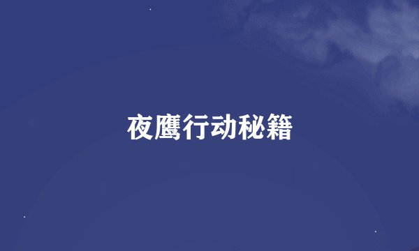 夜鹰行动秘籍