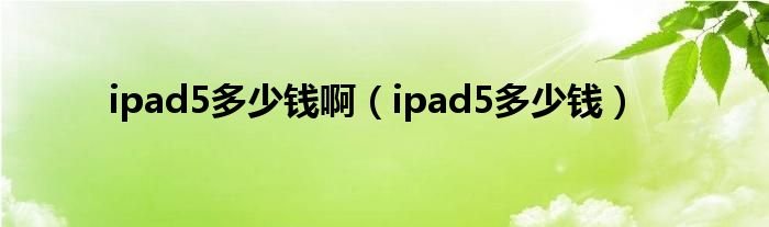 ipad5多少钱啊ipad5多少钱
