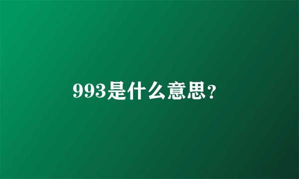 993是什么意思？