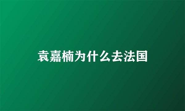 袁嘉楠为什么去法国