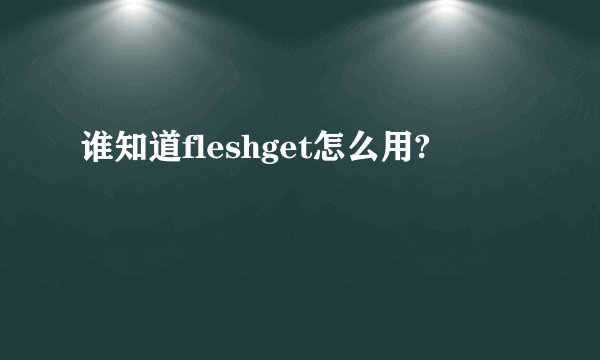 谁知道fleshget怎么用?