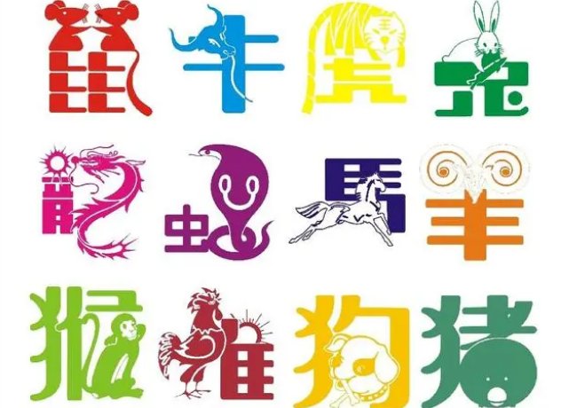 十二生肖全部过完需要几年