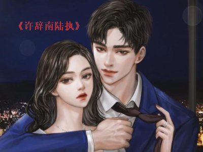 许辞南陆执小说结局是什么？