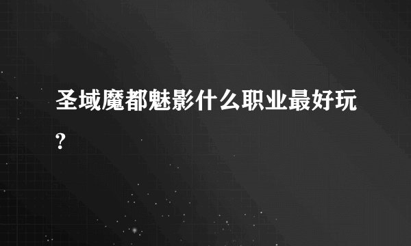 圣域魔都魅影什么职业最好玩?