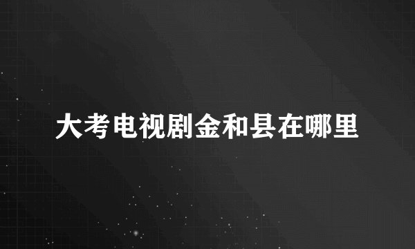 大考电视剧金和县在哪里