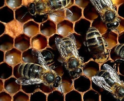 cctv7致富经是一档是什么样的节目？