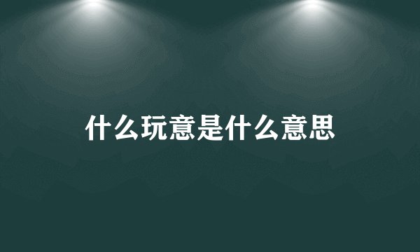 什么玩意是什么意思
