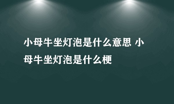小母牛坐灯泡是什么意思 小母牛坐灯泡是什么梗