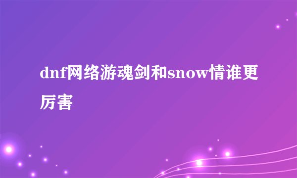 dnf网络游魂剑和snow情谁更厉害