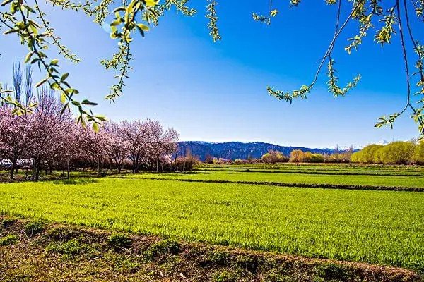 春雷的象征意义