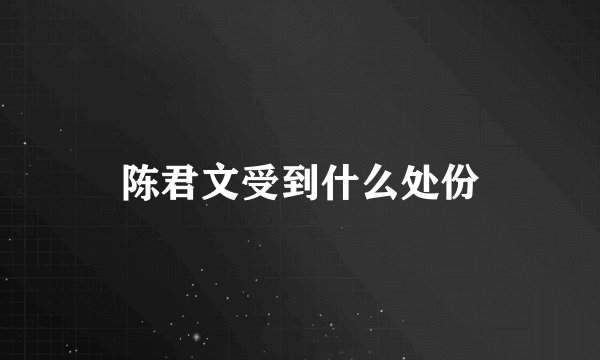 陈君文受到什么处份